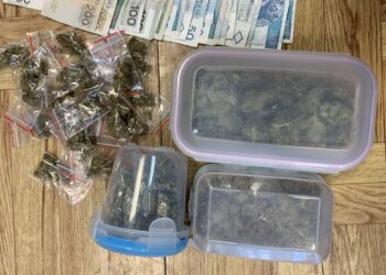 Nisko: Odpowie za posiadanie narkotyków