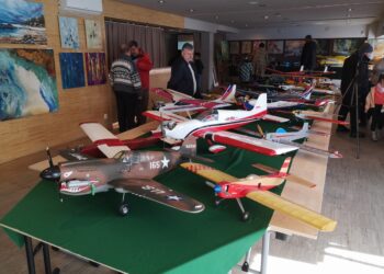 Nowa Dęba. Modele na wystawie