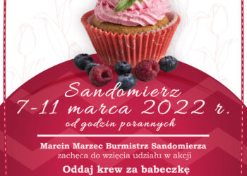 Sandomierz: Trwa akcja „Oddaj krew za babeczkę”.