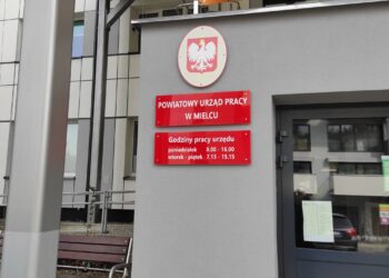 Mielec:  Wachlarz zawodów z barierą językową