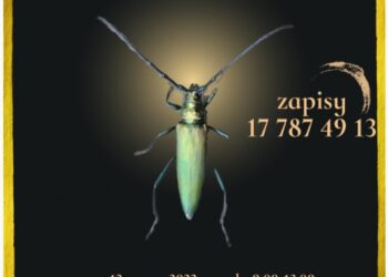 Mielec:  Warsztaty entomologiczne – po raz drugi