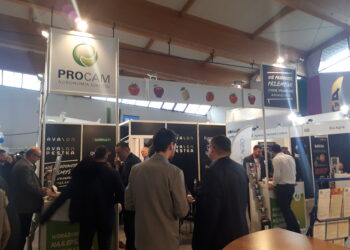 Sandomierz: Dziś rozpoczyna się 30. Spotkanie Sadownicze.