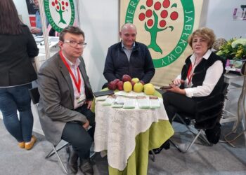 Sandomierz: Stowarzyszenie Sandomierski Szlak Jabłkowy promuje Ziemię Sandomierską.