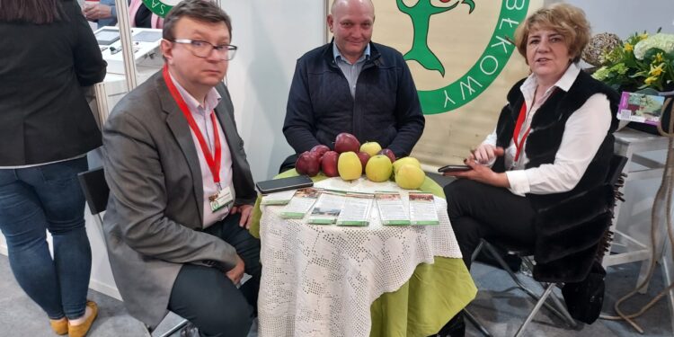 Sandomierz: Stowarzyszenie Sandomierski Szlak Jabłkowy promuje Ziemię Sandomierską.