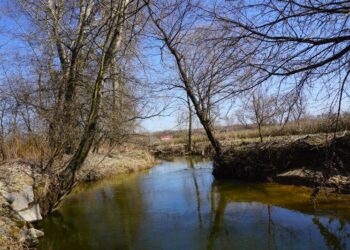 Koprzywnica: Operacja „Koprzywianka” w ramach akcji „Czysta Rzeka”.