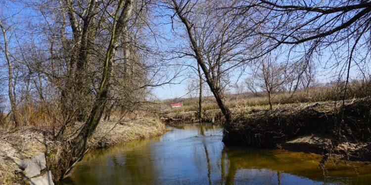 Koprzywnica: Operacja „Koprzywianka” w ramach akcji „Czysta Rzeka”.