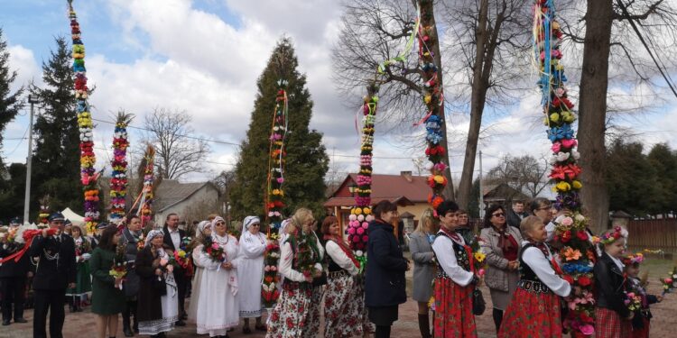 Baranów Sandomierski. W Ślęzakach wybrano największe i najpiękniejsze palmy