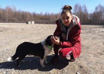 Nowa Dęba. Przytulisko dla zwierząt w nowej lokalizacji