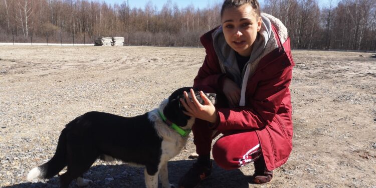 Nowa Dęba. Przytulisko dla zwierząt w nowej lokalizacji