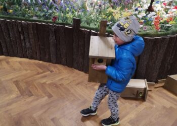 Tarnobrzeg. W Dzień Ziemi rozdali budki lęgowe dla ptaków