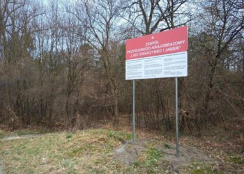 Tarnobrzeg. Lasy Zwierzyniec i Jasień oznakowane jako zespół przyrodniczo-krajobrazowy.