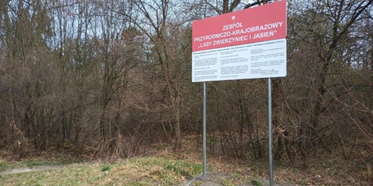 Tarnobrzeg. Lasy Zwierzyniec i Jasień oznakowane jako zespół przyrodniczo-krajobrazowy.