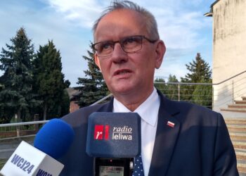 Mielec: ASF – światełko w tunelu
