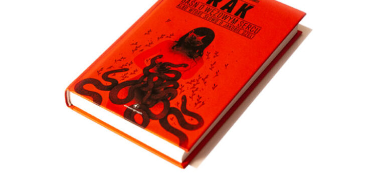 Stalowa Wola: Relacje z dofinansowaniem