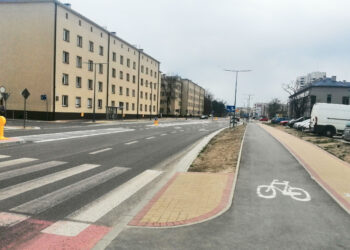 Stalowa Wola: Wkrótce ruszą nasadzenia drzew i krzewów na ulicy Popiełuszki