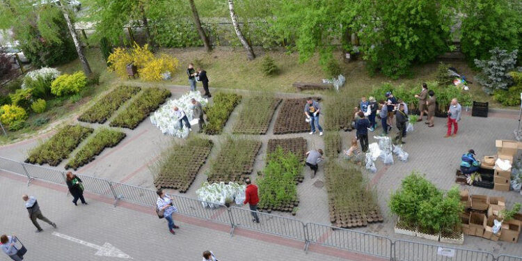 Stalowa Wola: Powraca akcja 'Drzewko za makulaturę’.