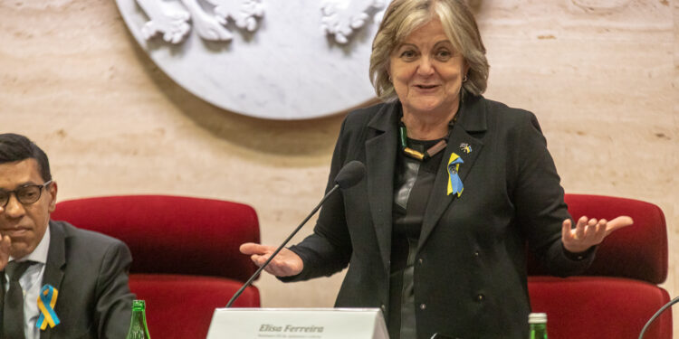 Region: Unijni przedstawiciele na Podkarpaciu