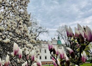 Baranów Sandomierski. Majówka w zamku