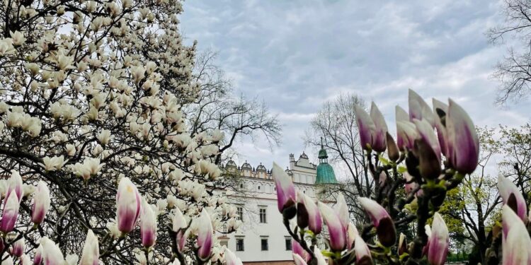 Baranów Sandomierski. Majówka w zamku