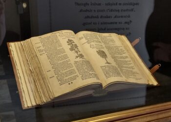 Sandomierz: Multisensorycznie, multimedialnie i interaktywnie o tajemnicach ziół.