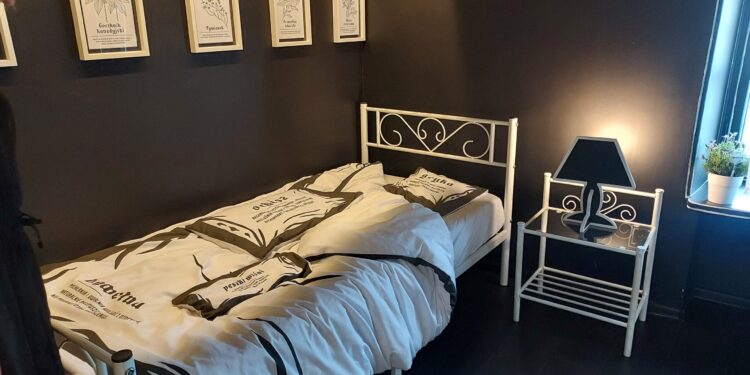 Sandomierz: Multisensorycznie, multimedialnie i interaktywnie o tajemnicach ziół.