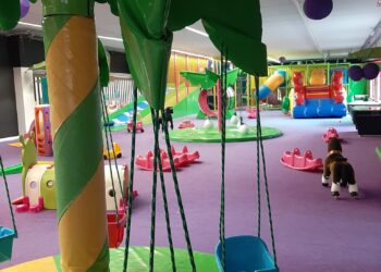 Sandomierz: Kreatywność, recykling i zabawa czyli konkurs „Wymarzony biom”.