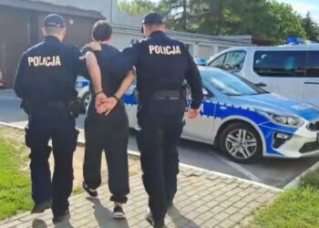 Mielec: Areszt dla obywatela Armenii