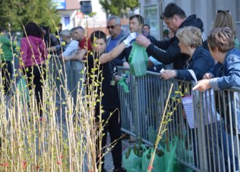 Stalowa Wola: Rozdawali drzewka za makulaturę