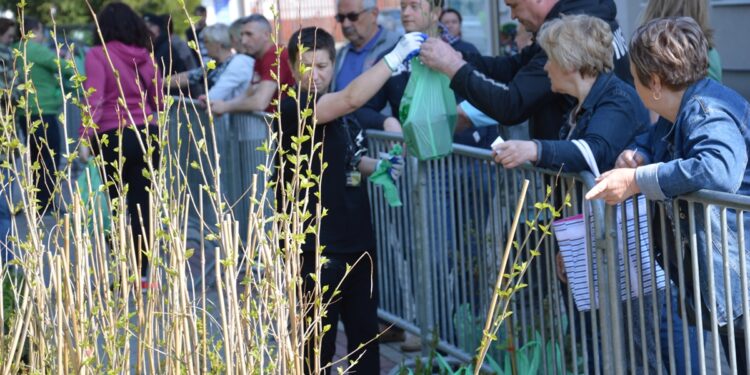 Stalowa Wola: Rozdawali drzewka za makulaturę