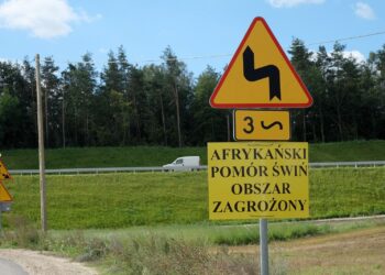 Dębica: Zmiana regionalizacji ASF