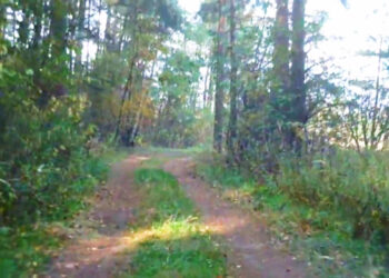 Sieraków, Dąbrowica: Są pieniądze na wyasfaltowanie gruntowego odcinka drogi wojewódzkiej 858