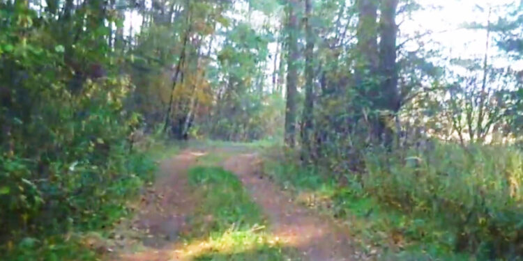 Sieraków, Dąbrowica: Są pieniądze na wyasfaltowanie gruntowego odcinka drogi wojewódzkiej 858