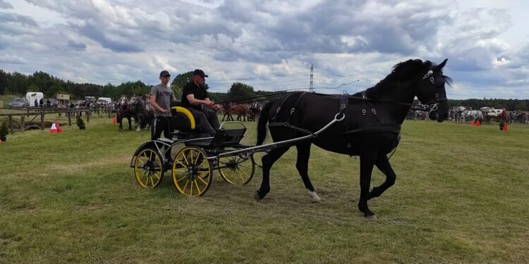 Radomyśl Wielki: Parada Konna