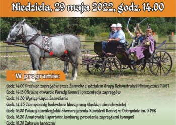 Radomyśl Wielki: Po raz 13.Parada Konna