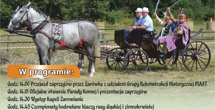 Radomyśl Wielki: Po raz 13.Parada Konna