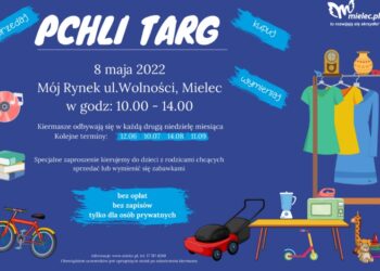 Mielec: Pchli targ po raz drugi.