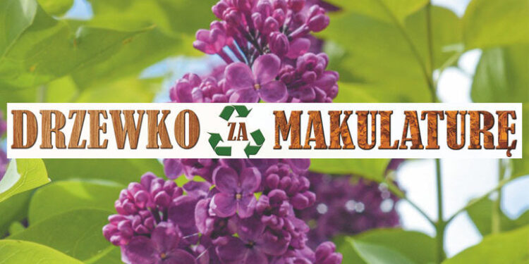 Stalowa Wola: Już w tę sobotę mieszkańcy otrzymają drzewka za makulaturę