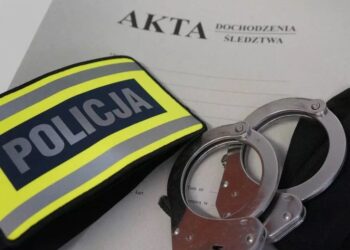 Mielec: Zarzut za znęcania się nad rodziną dla 29-letniej kobiety