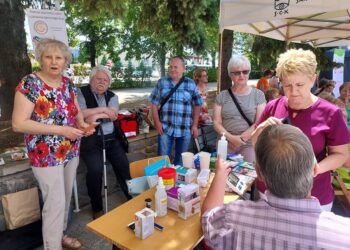 Sandomierz: VIII Festiwal Organizacji Pożytku Publicznego.