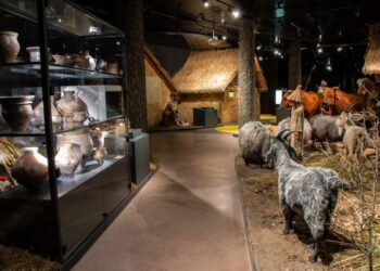 Krzemionki: Zbliża się rocznica odkrycia pradziejowych kopalni krzemienia pasiastego.