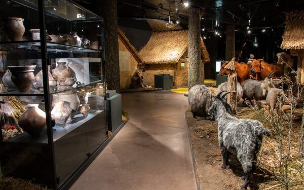 Krzemionki: Zbliża się rocznica odkrycia pradziejowych kopalni krzemienia pasiastego.