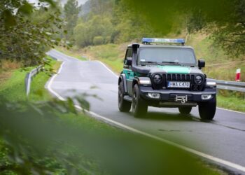 Region: Zatrzymani obywatele Afganistanu