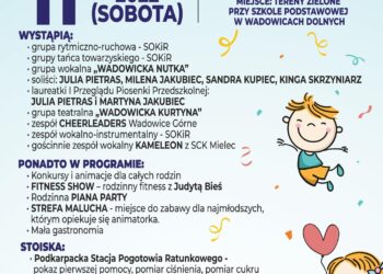 Mielec: Zabawowo-sportowo