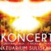 Sulisławice. Uwielbienie i koncert „Z mroku do światła”.