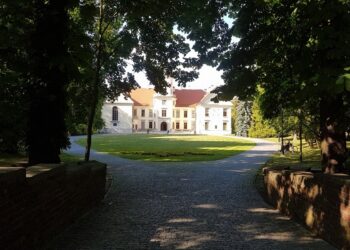 Tarnobrzeg. Kino plenerowe. Zwierzaki i nowy Bond.