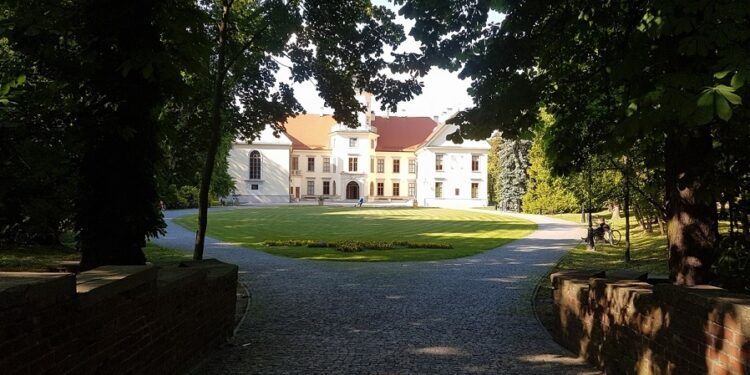 Tarnobrzeg. Kino plenerowe. Zwierzaki i nowy Bond.