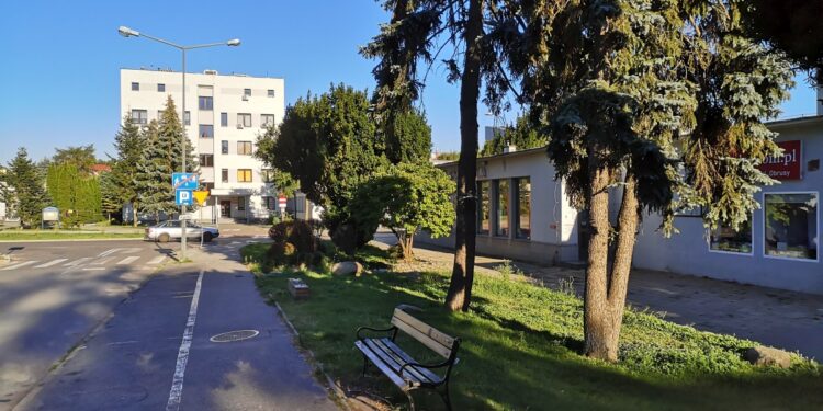 Tarnobrzeg. Zieleń ma ocaleć