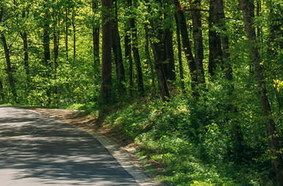 Lipa, Gielnia: Jest dofinansowanie z puli na tereny popegeerowskie na przebudowę drogi 1007R