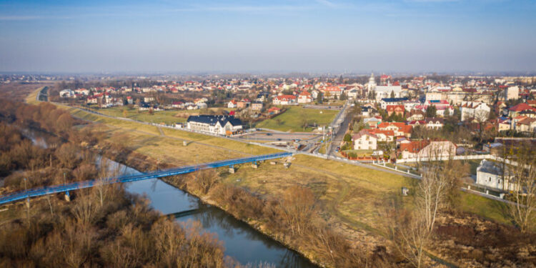 Mielec: Dziki pukają do bram miasta!