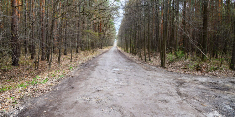 Nisko: Ruszył przetarg na budowę ulicy Jana